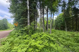 Xxx Crystal Lake Rd, Barnum, MN 55707 - Photo 1