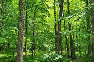 00 N Olson Rd, Hayward, WI 54843 - Photo 1