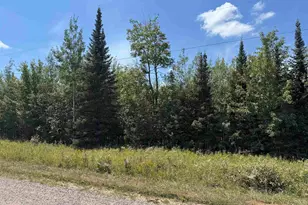 Xxx S Peterson Rd, Poplar, WI 54864 - Photo 1