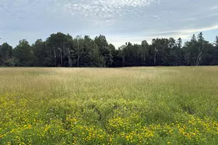 0000 Range Line Rd, Iron River, WI 54847 - Photo 1