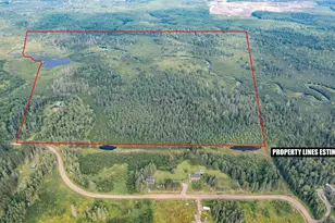 6964 N McArthur Rd, Canyon, MN 55717 - Photo 1