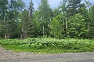 Xxx Irish Creek Rd, Hovland, MN 55606 - Photo 1