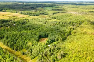 39499 Northwood Rd, Nashwauk, MN 55769 - Photo 1