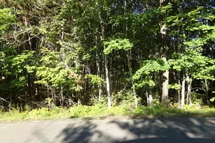 7581 S Marsik Rd, Lake Nebagamon, WI 54849 - Photo 1