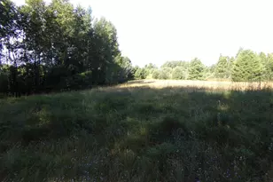 7581 S Marsik Rd, Lake Nebagamon, WI 54849 - Photo 1