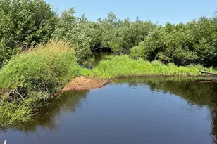 148 Acres County Hwy E, Hawthorne, WI 54842 - Photo 1