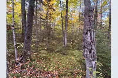 445Xx Club Lake Rd, Grand View, WI 54821 - Photo 1