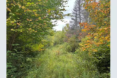 Xxx Stony River Forest Rd, Isabella, MN 55607 - Photo 1