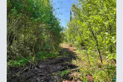 Xxx Stony River Forest Rd, Isabella, MN 55607 - Photo 1
