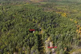 12012 Keyes Rd, Orr, MN 55771 - Photo 1