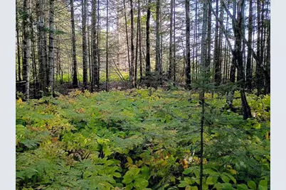 3X Brandon Ln, Grand Marais, MN 55604 - Photo 1