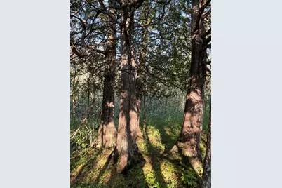 32Xx Zimmerman Rd, Duluth, MN 55804 - Photo 1