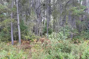 0000 Old Odanah Rd, Ashland, WI 54806 - Photo 1