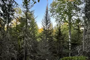 2Xx N Gunflint Lake Rd, Grand Marais, MN 55604 - Photo 1