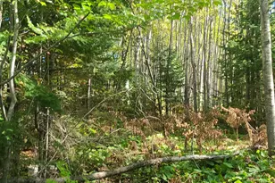 59Xx Tri Lakes Rd, South Range, WI 54880 - Photo 1