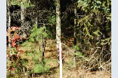 26Xx Ellison Lake Rd, Barnes, WI 54873 - Photo 1