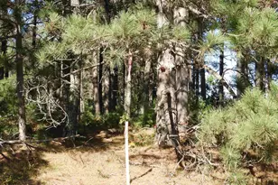 27Xx Ellison Lake Rd, Barnes, WI 54873 - Photo 1