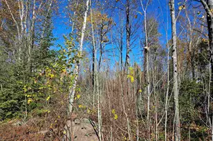 Xx Mattila Rd, Virginia, MN 55792 - Photo 1