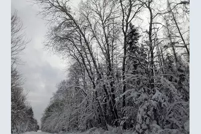 40 Acres On Witte Rd, Butternut, WI 54514 - Photo 1