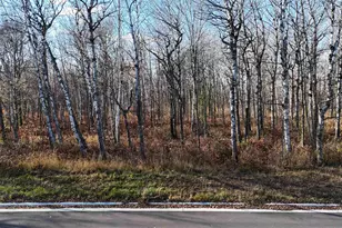 Xxxx Yellow Birch Trail, Duluth, MN 55810 - Photo 1