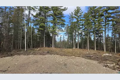 Xx13.7 Crane Lake Rd, Crane Lake, MN 55725 - Photo 1