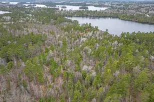 Tbd Lindbeck Rd, Ely, MN 55731 - Photo 1