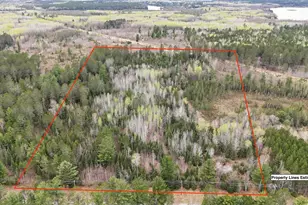 Tbd Scout Camp Rd, Eveleth, MN 55734 - Photo 1