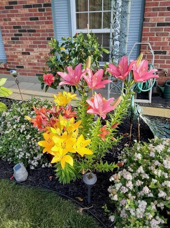 7038 Pineview Dr, Dayton, OH 45424-2554
