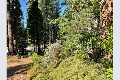 791 Highway 4, Arnold, CA 95223 - Photo 4