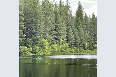 791 Highway 4, Arnold, CA 95223 - Photo 8