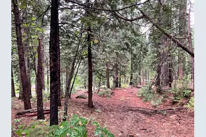 1526 Seminole, Arnold, CA 95223 - Photo 2