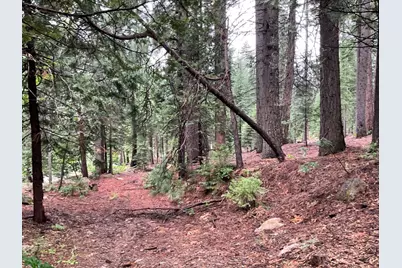 1526 Seminole, Arnold, CA 95223 - Photo 6