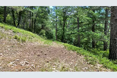 25555 Ca 49, Sierra City, CA 96125 - Photo 42