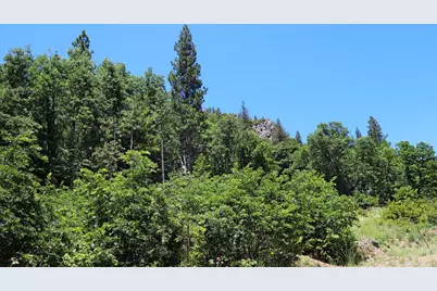 25555 Ca 49, Sierra City, CA 96125 - Photo 28