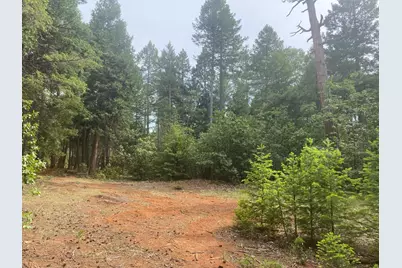 8180 Wild Horse Trail, Georgetown, CA 95634 - Photo 6