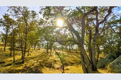 0 Ranch Road, Valley Springs, CA 95252 - Photo 12