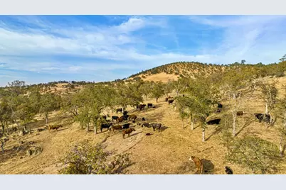 0 Ranch Road, Valley Springs, CA 95252 - Photo 22