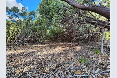 20335 Montana Lane, Colfax, CA 95713 - Photo 8