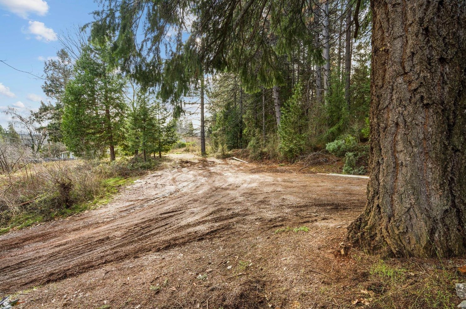 287 Olympia Dr, Grass Valley CA  95945-5169 exterior