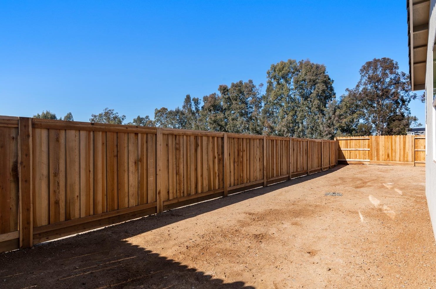 206 Velvet Bloom Ct, Lincoln CA  95648 exterior
