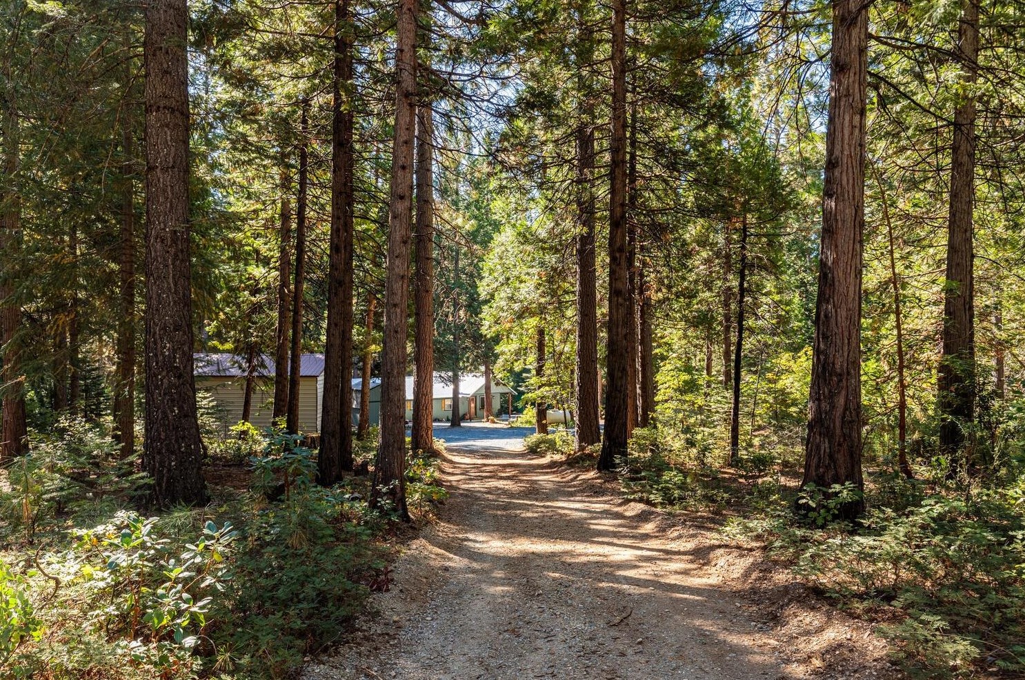 18545 Cruzon Grade Rd, Cherokee CA 95959-8539 exterior