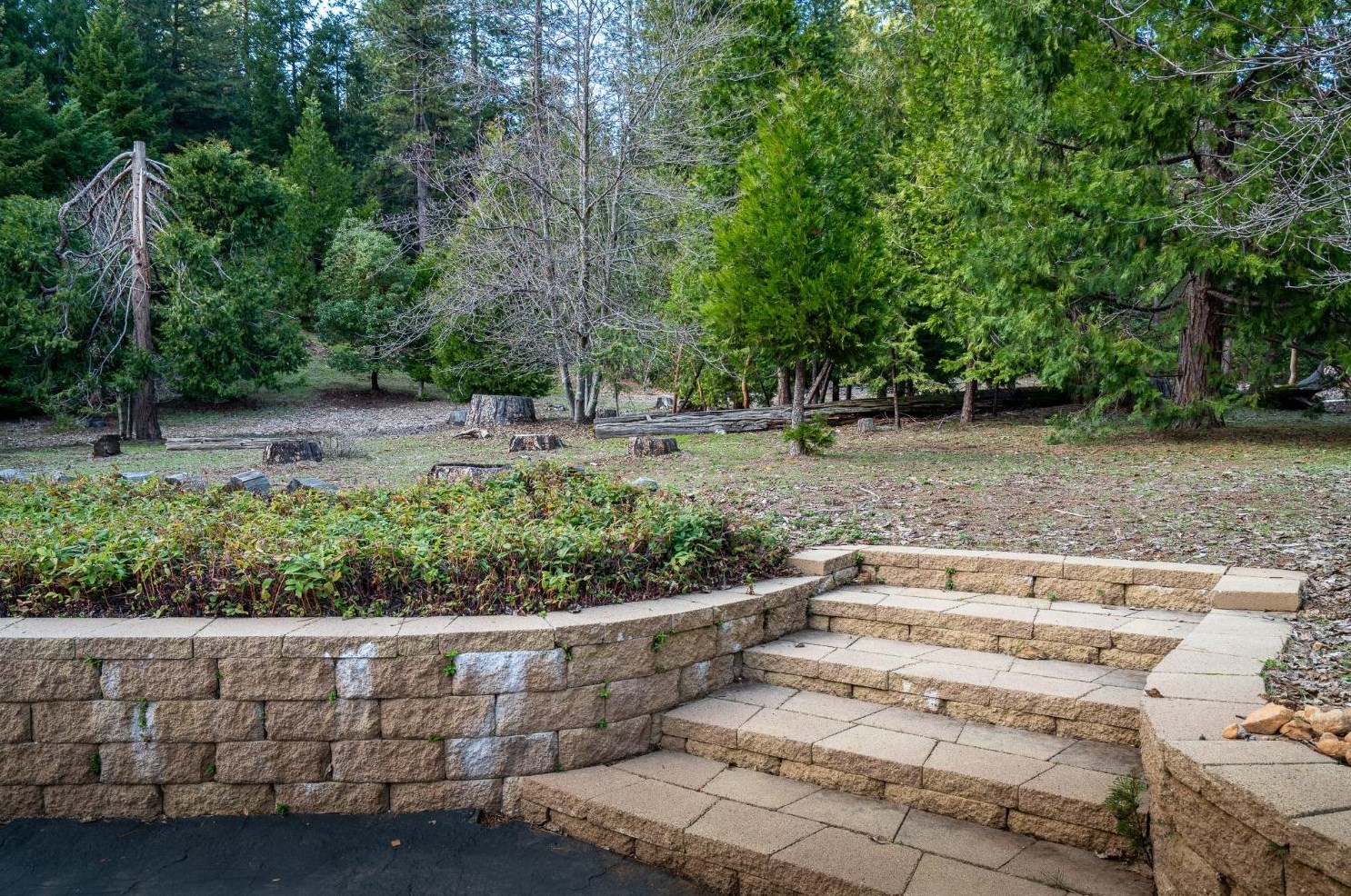 26897 Spg Ct, Pioneer CA  95666-9312 exterior