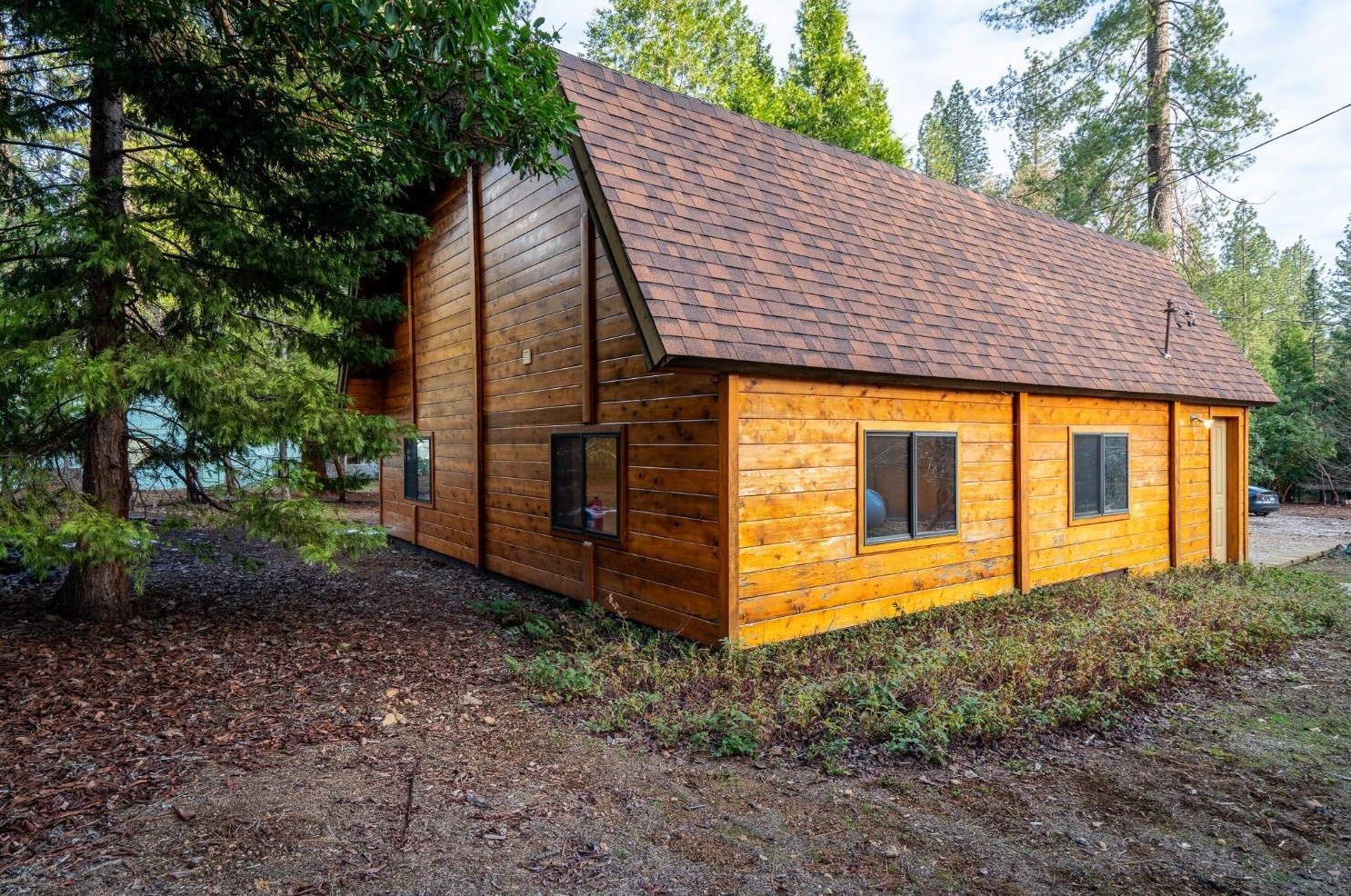 26897 Spg Ct, Pioneer CA  95666-9312 exterior