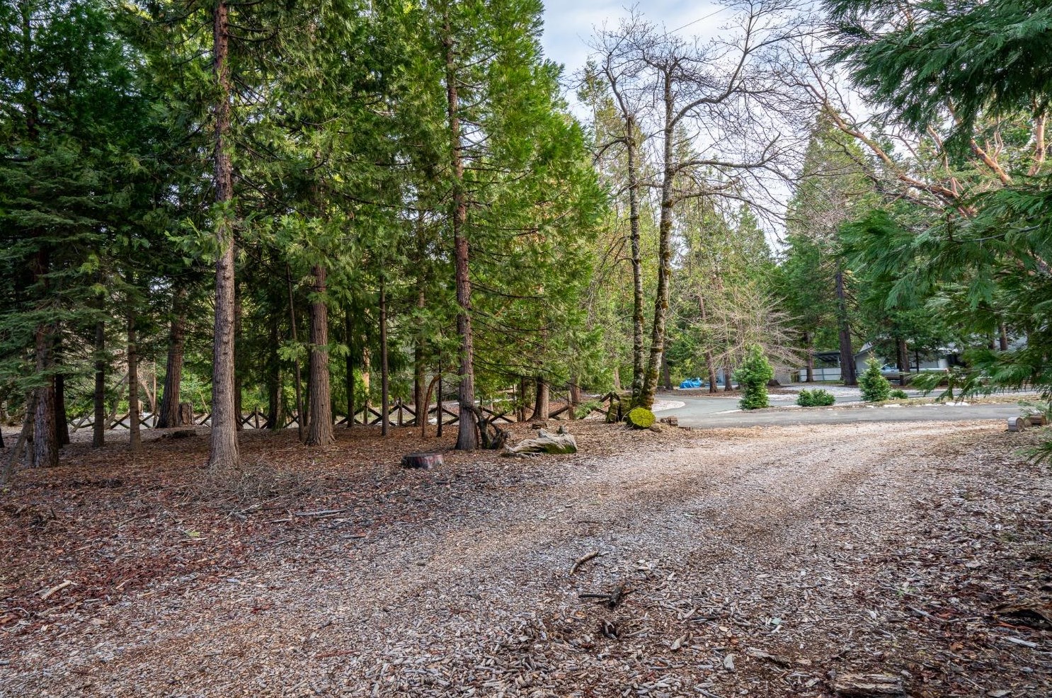 26897 Spg Ct, Pioneer CA  95666-9312 exterior