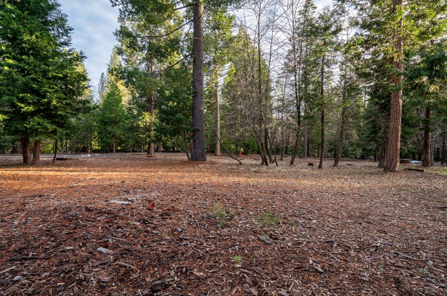 26897 Spg Ct, Pioneer CA  95666-9312 exterior