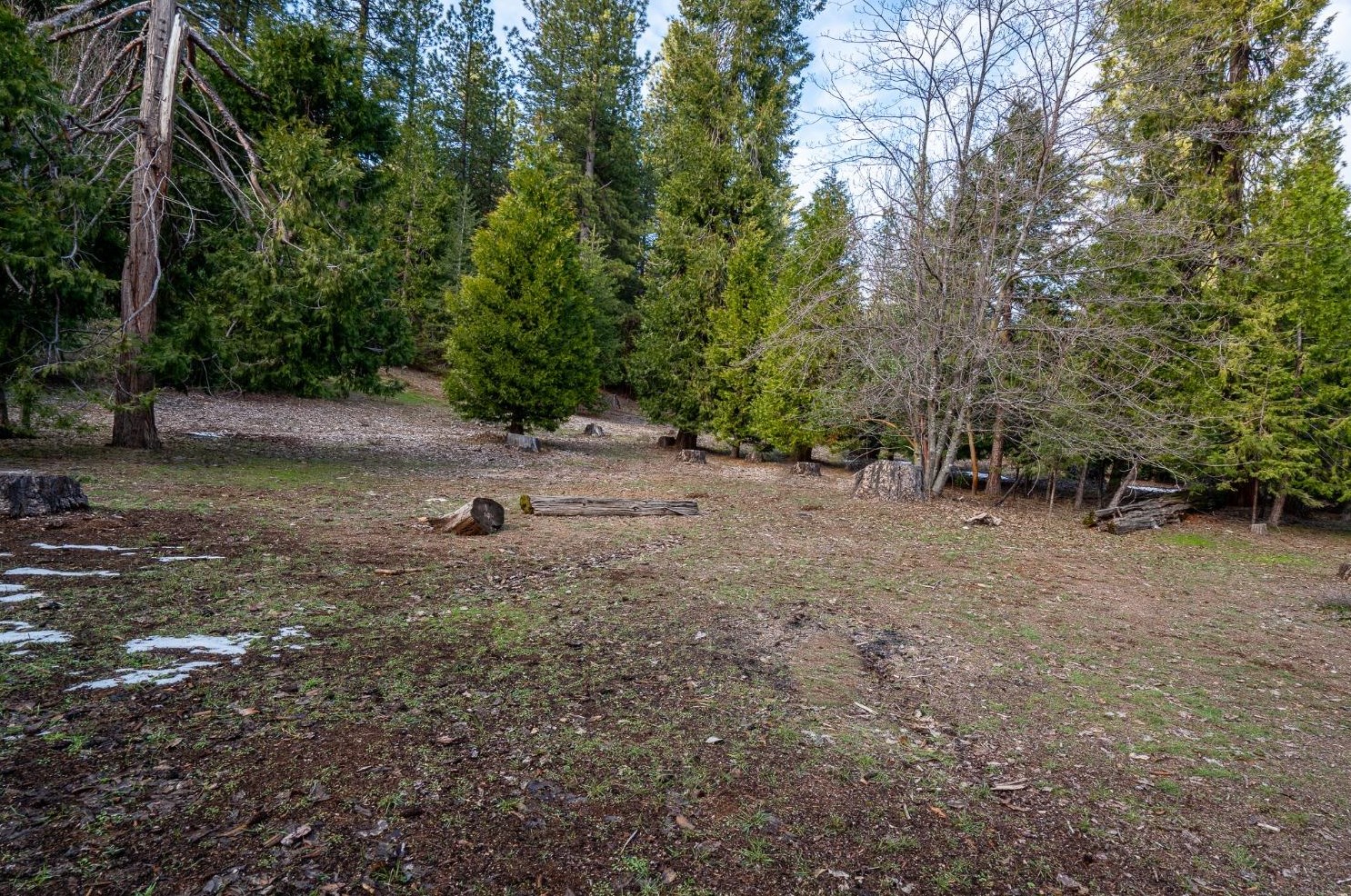 26897 Spg Ct, Pioneer CA  95666-9312 exterior