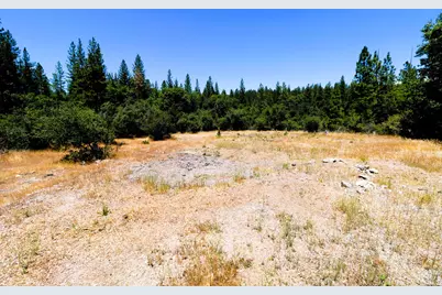 1402 Meredith Lane, Rail Road Flat, CA 95248 - Photo 1