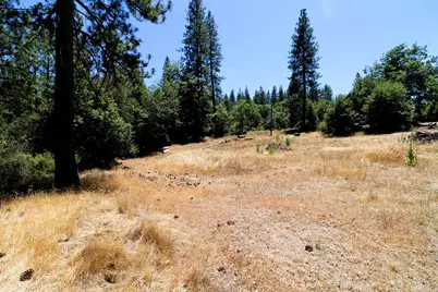 1402 Meredith Lane, Rail Road Flat, CA 95248 - Photo 4