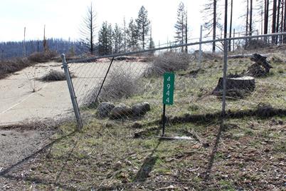 4944 Deerwood Drive, Grizzly Flats, CA 95636 - Photo 1
