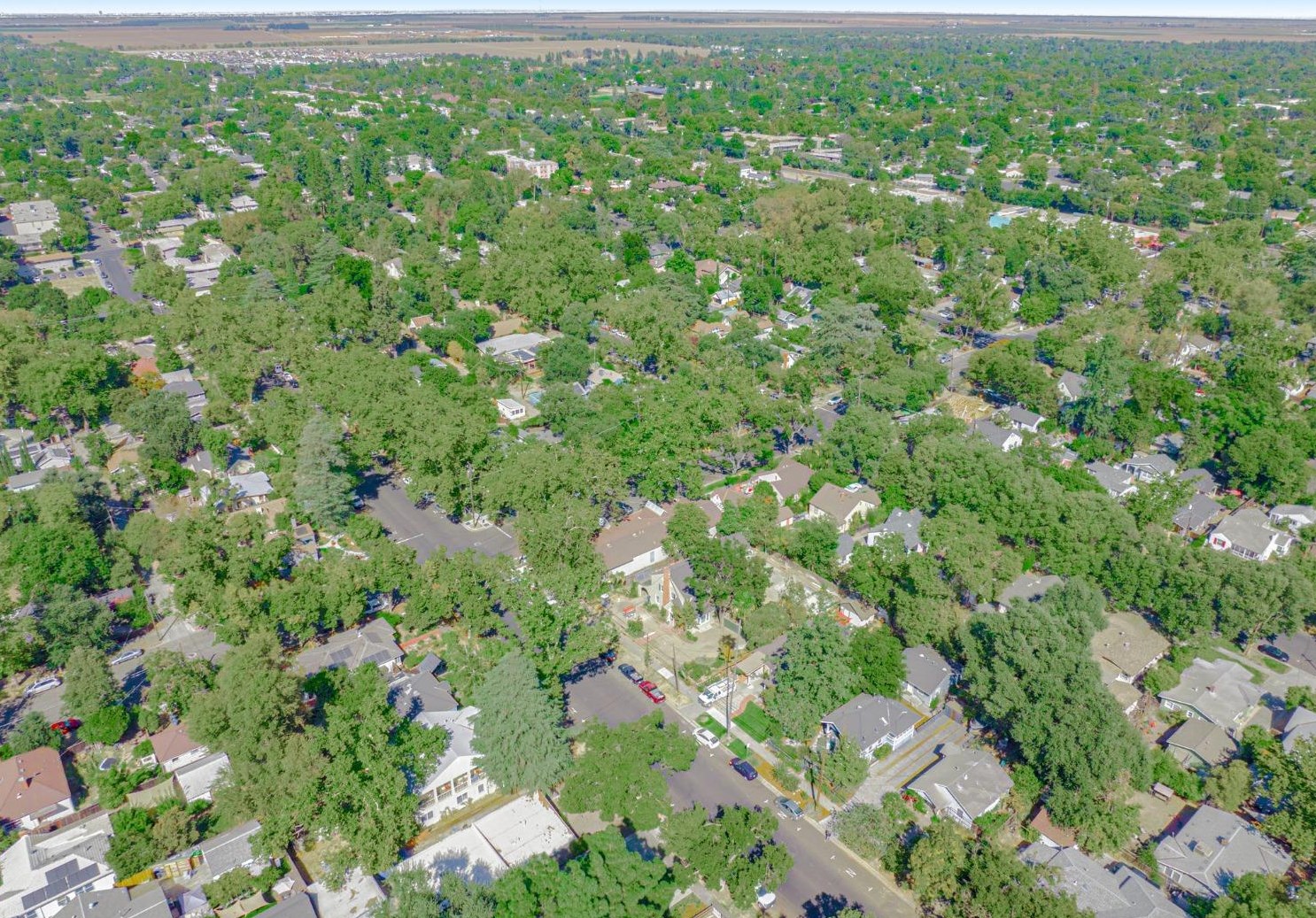 516 D St, Davis CA 95616-3815 exterior